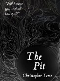 Pit (eBook, ePUB)