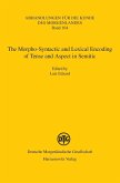 The Morpho-Syntactic and Lexical Encoding of Tense and Aspect in Semitic (eBook, PDF)