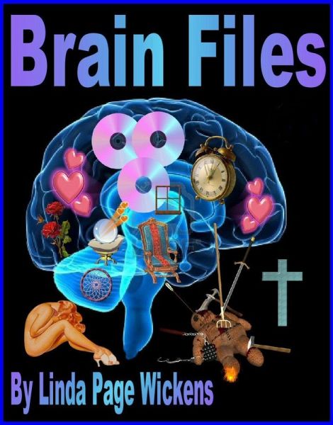 Brain Files (eBook, ePUB)