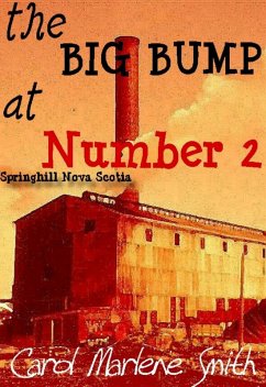 Cover the BIG BUMP at Number 2 (eBook, ePUB)