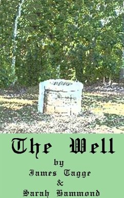 Well (eBook, ePUB) - Tagge, James