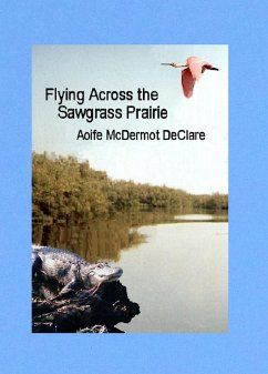 Flying Across the Sawgrass Prairie (eBook, ePUB) - DeClare, Aoife McDermot