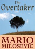 Overtaker (eBook, ePUB)