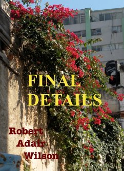 Final Details (eBook, ePUB) - Wilson, Robert Adair
