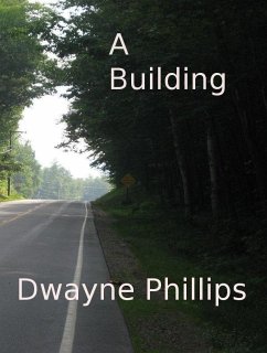 Building (eBook, ePUB) - Phillips, Dwayne