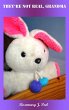 They're Not Real, Grandma (eBook, ePUB) - Bild 1