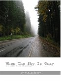 When The Sky Is Gray (eBook, ePUB)