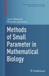 Methods of Small Parameter in... - Bild 1