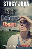 Dark Before Dawn (eBook, ePUB)