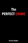 Perfect Crime (eBook, ePUB)