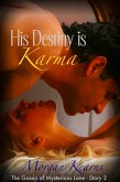 His Destiny is Karma (The Gossip of Mysterious Lane #2) (eBook, ePUB)
