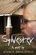 Sylvester (eBook, ePUB) - Bild 1