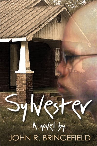 Sylvester (eBook, ePUB)