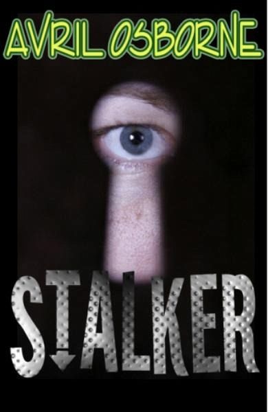 Stalker (eBook, ePUB)