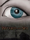 Wizard and Spy: Book 1 The Ex-Apprentices (eBook, ePUB)