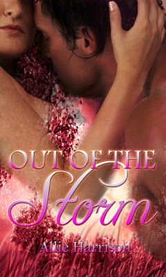 Cover Out of the Storm (eBook, ePUB)