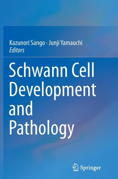 Schwann Cell Development and Pathology