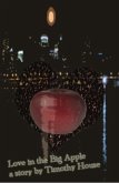 Love in the Big Apple (eBook, ePUB)