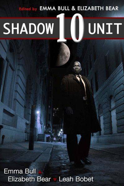 Shadow Unit 10 (eBook, ePUB)