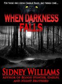 When Darkness Falls (eBook, ePUB)