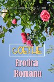 Erotica Romana (eBook, ePUB)