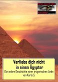 Verliebe dich nicht in einen Ägypter (eBook, ePUB)