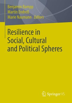 Resilience in Social, Cultural and Political Spheres