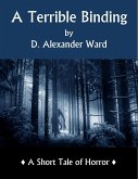 Terrible Binding (eBook, ePUB) Terrible Binding (eBook, ePUB)