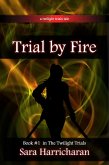 Trial by Fire (eBook, ePUB)