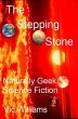 Stepping Stone (eBook, ePUB) - Bild 1