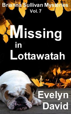 Missing in Lottawatah (eBook, ePUB) - David, Evelyn