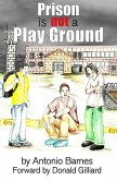 Prison is Not a Play Ground (eBook, ePUB)