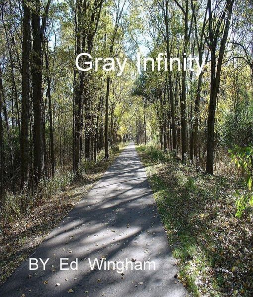 Gray Infinity (eBook, ePUB)
