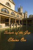 Secrets of the Gap (eBook, ePUB)