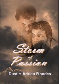 Storm of Passion (eBook, ePUB)