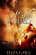 Magick Ignited ( a paranormal romance /... - Bild 1