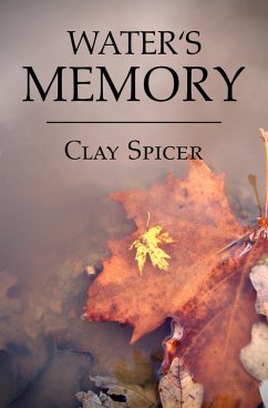 Water's Memory (eBook, ePUB) - Spicer, Clay