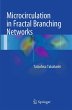 Microcirculation in Fractal Branching... - Bild 1