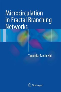 Microcirculation in Fractal Branching Networks - Takahashi, Tatsuhisa