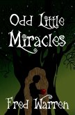 Odd Little Miracles (eBook, ePUB)