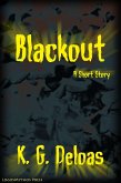 Blackout (eBook, ePUB)