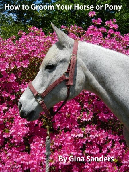 How to Groom Your Horse or Pony (eBook, ePUB)