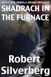 Shadrach in the Furnace (eBook, ePUB) - Bild 1