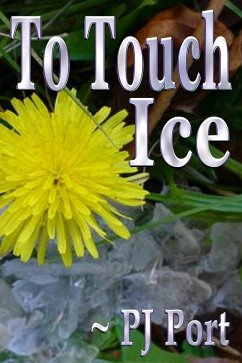 Cover To Touch Ice (eBook, ePUB)