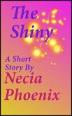 Shiny (eBook, ePUB)