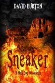 Sneaker (eBook, ePUB)