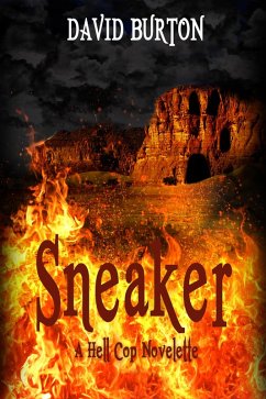 Cover Sneaker (eBook, ePUB)