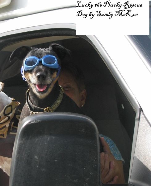 Lucky the Plucky Rescue Dog (eBook, ePUB) Lucky the Plucky Rescue Dog (eBook, ePUB)