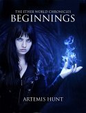 Ether World Chronicles: Beginnings (eBook, ePUB)