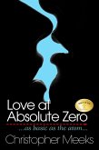 Love At Absolute Zero (eBook, ePUB)